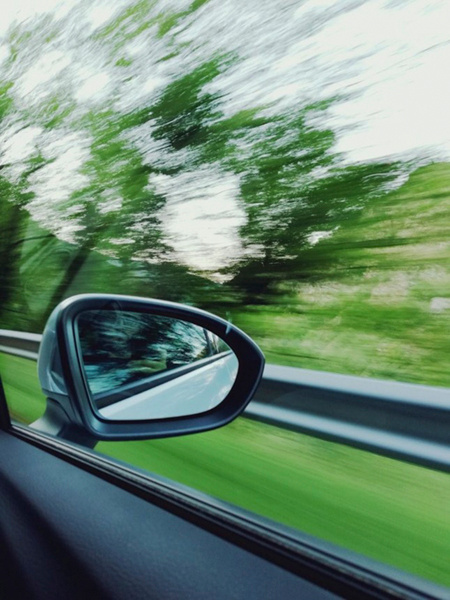 View of a forest of the Pyrenees while on a car